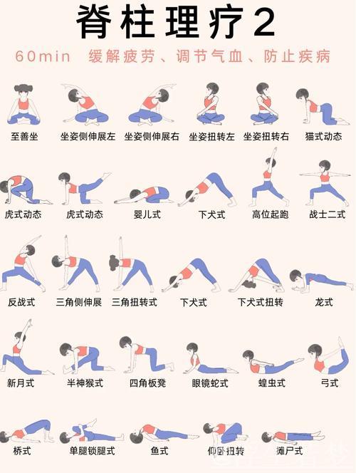 晨间健身操：舒缓脊柱与肩背的拉伸练习